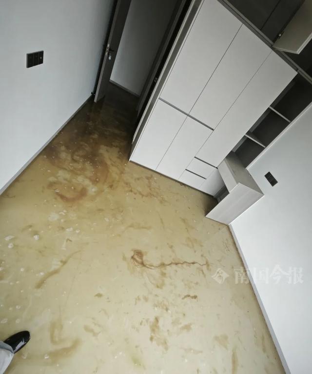 崩溃：全屋都是无法接受婚房被粪水浸泡！业主