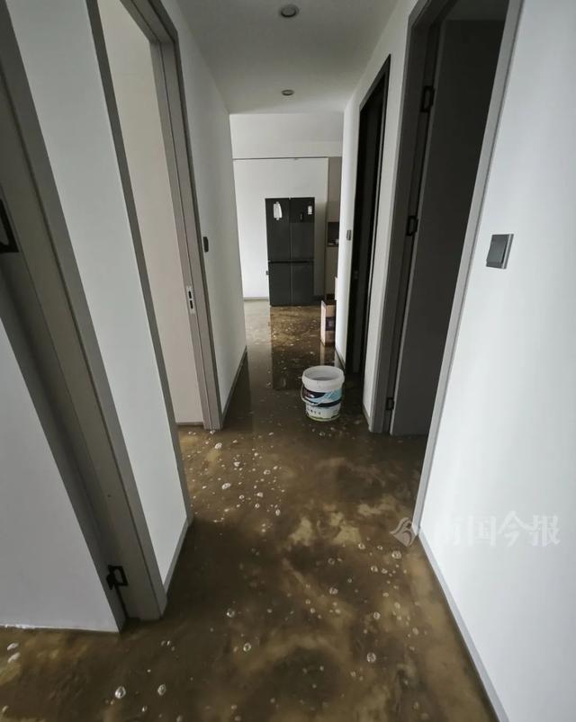 崩溃：全屋都是无法接受婚房被粪水浸泡！业主(图2)