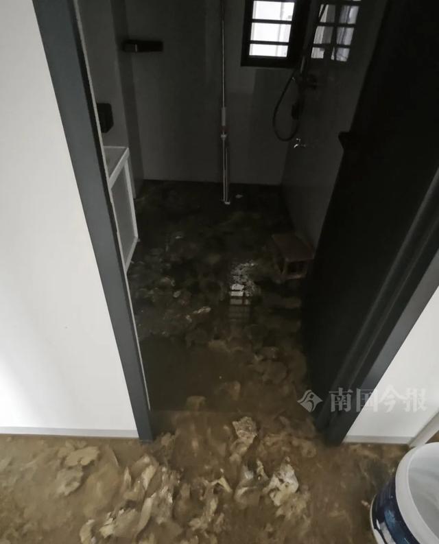 崩溃：全屋都是无法接受婚房被粪水浸泡！业主(图5)