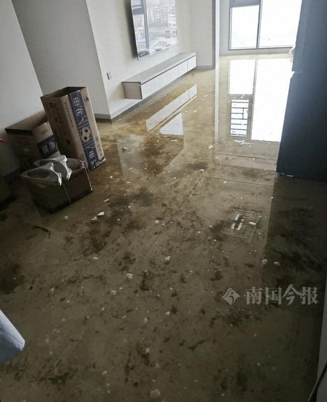 崩溃：全屋都是无法接受婚房被粪水浸泡！业主(图7)