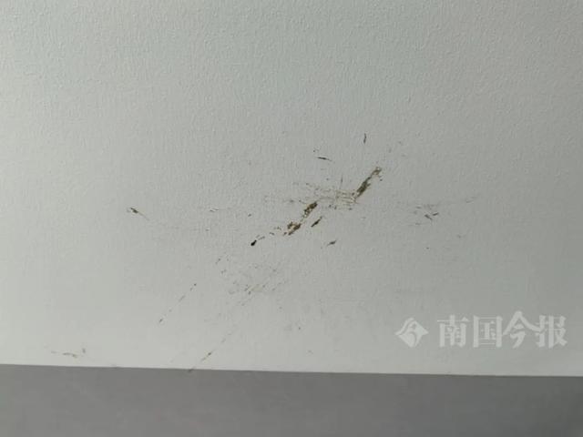 崩溃：全屋都是无法接受婚房被粪水浸泡！业主(图11)